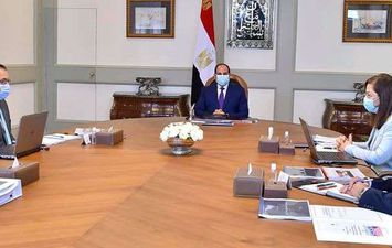 اجتماع السيسي مع رئيس صندوق مصر السيادي