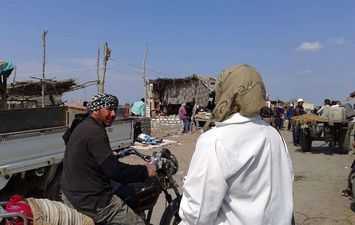 بيطرى بورسعيد ..تحصينات مستمرة للحفاظ على الثروة الحيوانية بالمحافظة 