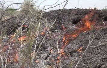 حرائق محاصيل في اليمن 