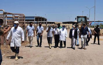 محافظ بورسعيد: محطة تسمين الماشية تؤمن احتياجات المحافظة  من اللحوم الحمراء 