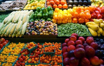 الزراعة: ارتفاع صادرات مصر الزراعية لـ أكثر من 3.9 مليون طن والبطاطس تحتل المركز الثاني بعد الموالح