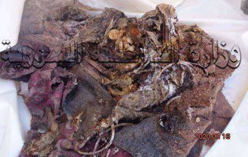 جثة الطفلة المقطعة عقب العثور عليها بعد 5 أشهر 