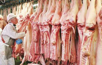   أسعار اللحوم اليوم الاثنين 31-8-2020 