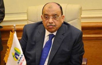 وزير التنمية المحلية يصدر قرارا بتكليف عصام عبد الغني رئيسا لواحة سيوة