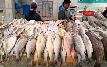أسعار  السمك