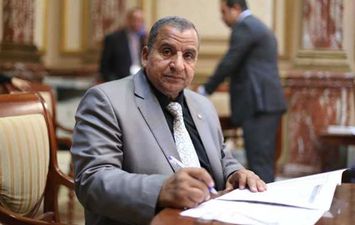 النائب عبد الحميد كمال، عضو اللجنة المحلية بمجلس النواب 