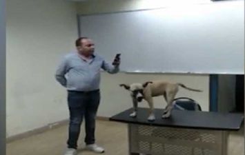 مدرس علم نفس يستخدم الكلاب في الشرح
