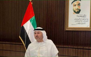 وزير الدولة الإماراتي للشؤون الخارجية، أنور قرقاش