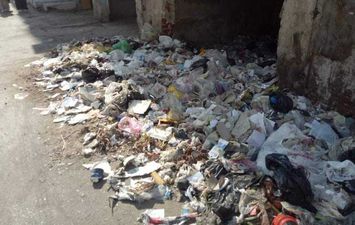 القمامة تحاصر شوارع أبوحماد في الشرقية
