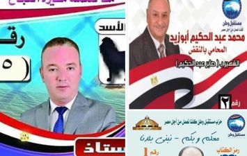 بالأرقام.. فوز أبو زيد وعبد الستار ومحمد مصطفي في مؤشرات لجان دائرة ملوي بالمنيا