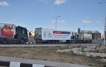 قافلة إنسانية