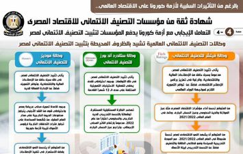 الموسسات الدولية والاقتصاد المصري