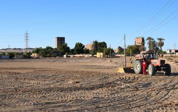 زراعة 67 فدان بالقمح في قنا