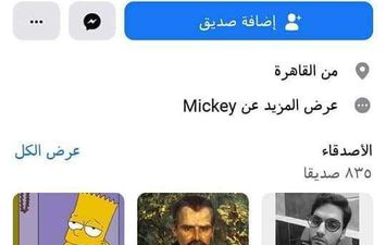 صفحة ميكي جمال