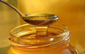 ضبط منحل عسل يعمل بدون ترخيص في المنوفية