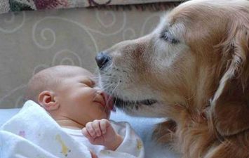 طفل وكلب