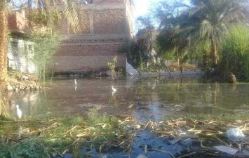 مياه الري تغرق منازل أهالي قرية في قنا 