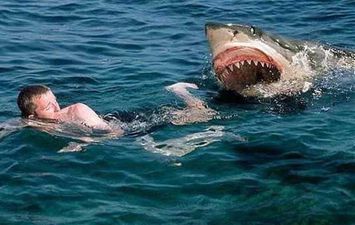 هجمات أسماك القرش