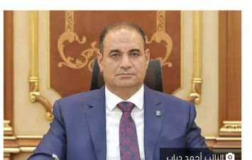 النائب أحمد دياب، أمين سر اللجنة الاقتصادية بمجلس النواب