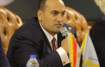 النائب محمد الرشيدي ، عضو مجلس الشيوخ