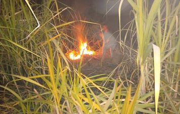 حريق بزراعات القصب في قنا