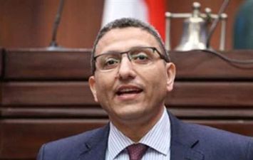 أحمد سعدالدين وكيل البرلمان