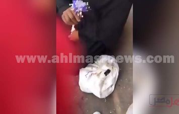 طالب يوزع الورود على العاملات بالأسواق في قنا