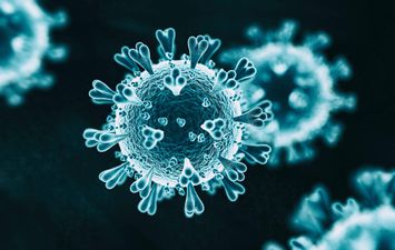 فيروس كورونا - صورة أرشيفية 