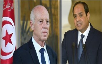 الرئيس المصري ونظيره التونسي