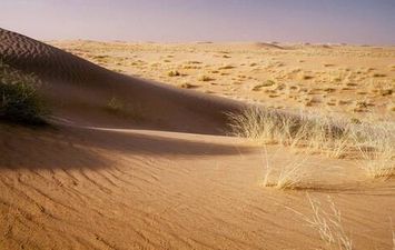 مشروع سعودي لتشجير الشرق الأوسط