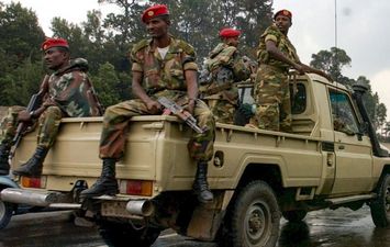  القوات الإريترية