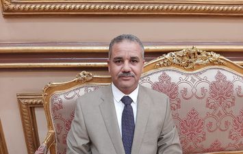 عادل حجازي عضو مجلس الشيوخ