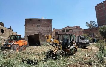 قرى الحامول تشهد حملات نظافة ورفع كفاءة الإنارة