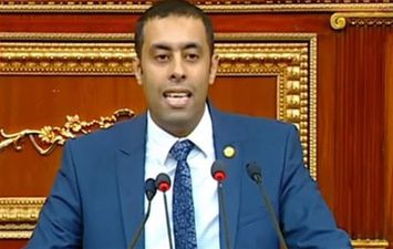 النائب أحمد فرغل