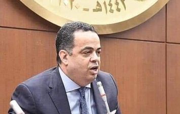 عصام عفيفي عضو مجلس الشيوخ