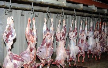 أسعار اللحوم في عيد الأضحى