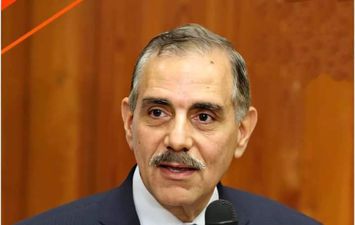 محافظ كفر الشيخ