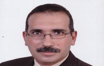 الدكتور عادل عامر الخبير الاقتصادى