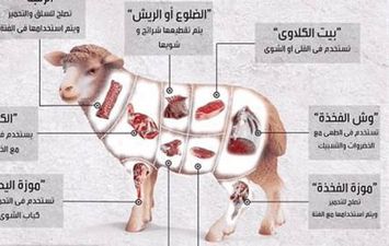 كيفية تقسيم الأضحية شرعا    