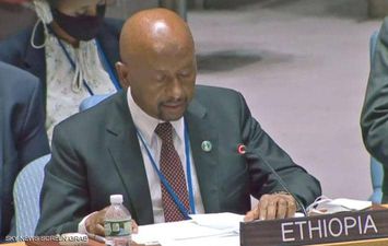 وزير الري الإثيوبي  