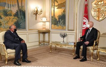 لقاء وزير الخارجية بالرئيس التونسي 
