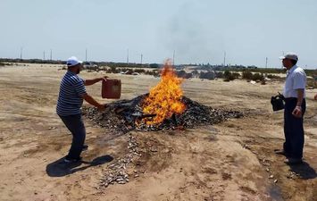 استمرار  الجهود لمواجهة مافيا المناشر  السمكية وملاحقة الخارجين على القانون بمدينة بلطيم 