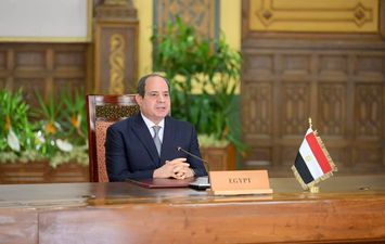 الرئيس السيسي: مصر تبذل قصارى جهدها في قضايا المناخ