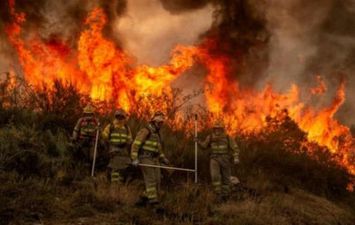 حريق غابات في جنوب إسبانيا