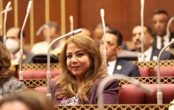 الدكتورة سهير عبدالسلام عضو مجلس الشيوخ