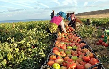 صادرات كوريا الجنوبية من المنتجات الزراعية