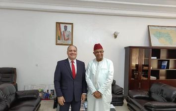 السفير المصري في كوناكري يلتقي وزير الطاقة والمحروقات في غينيا