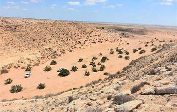الاستفادة من تخزين مياه الأمطار بصحراء مطروح 