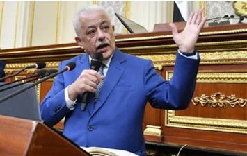  طارق شوقي أمام النواب