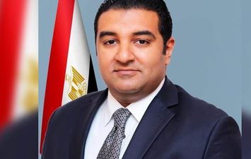 محمود عصام عضو مجلس النواب